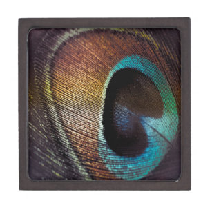 Antique Hues Peacock Feather Eye Jewellery Box