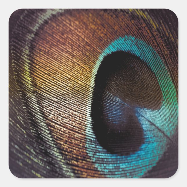 Antique Hues Peacock Feather Eye Square Sticker (Front)