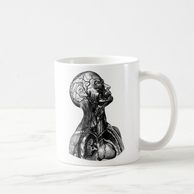 Antique Human Upper Torso Anatomical Drawing Mug (Right)
