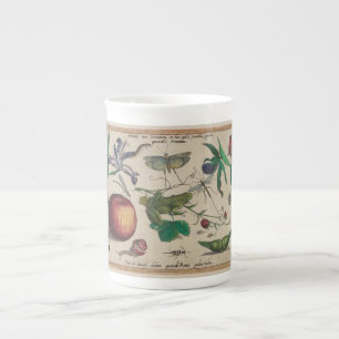 Antique Insects, Flowers, fruits Hoefnagel Bone China Mug