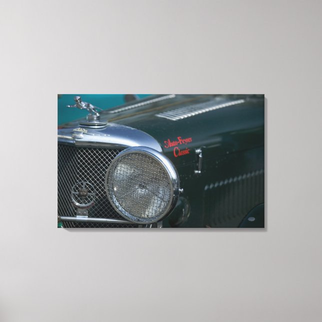 antique jaguar canvas print (Front)