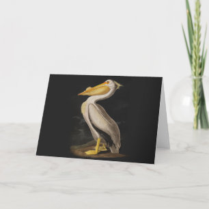 Antique John James Audubon White Pelican Coastal Card