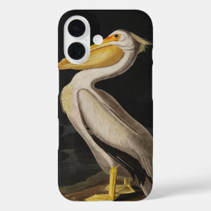 Antique John James Audubon White Pelican Coastal iPhone 16 Case
