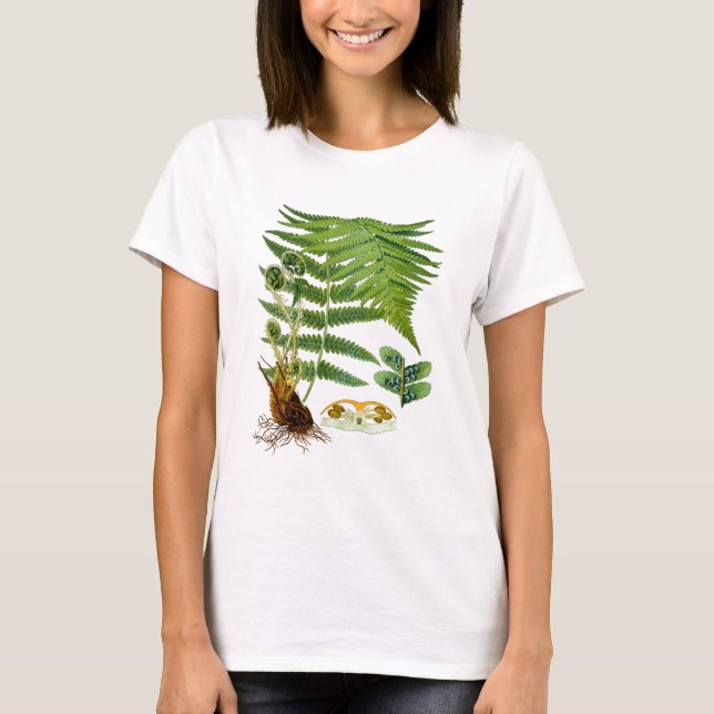 Antique Kohler Fern Illustration Green Decor T-Shirt (Front)