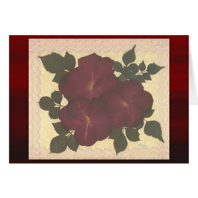 Antique Lace and Roses (Front Horizontal)