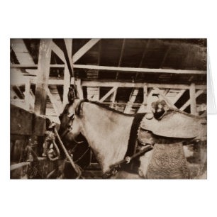 Antique Looking Horse Photo