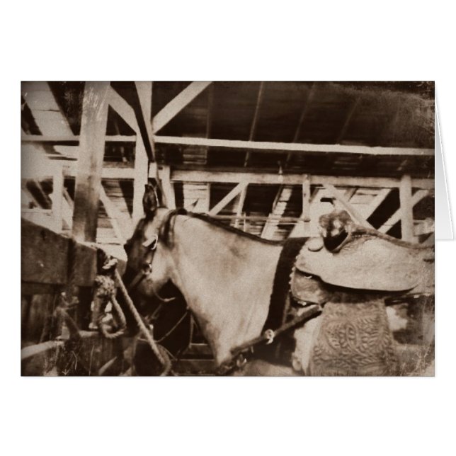 Antique Looking Horse Photo (Front Horizontal)