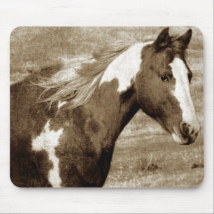 Antique Looking Paint Mare Mouse Mat