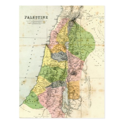 Image of Antique Map - Biblical Palestine Postcard