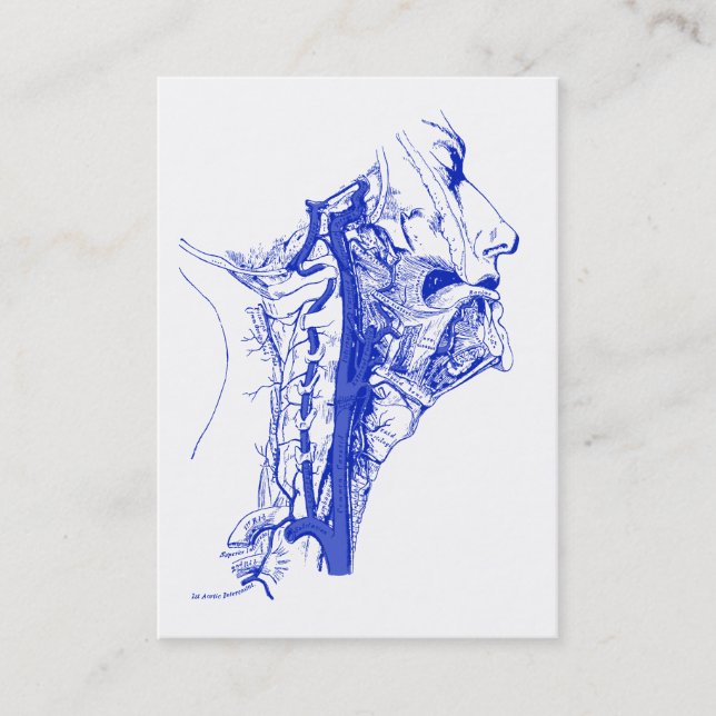 Antique Medical Image Human vertebral arteries Business Card (Front)