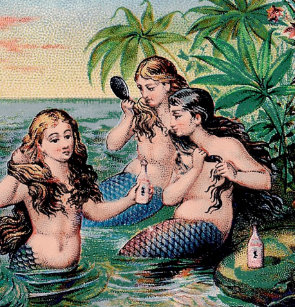 Antique Mermaids Gifts Gift Ideas Zazzle Uk