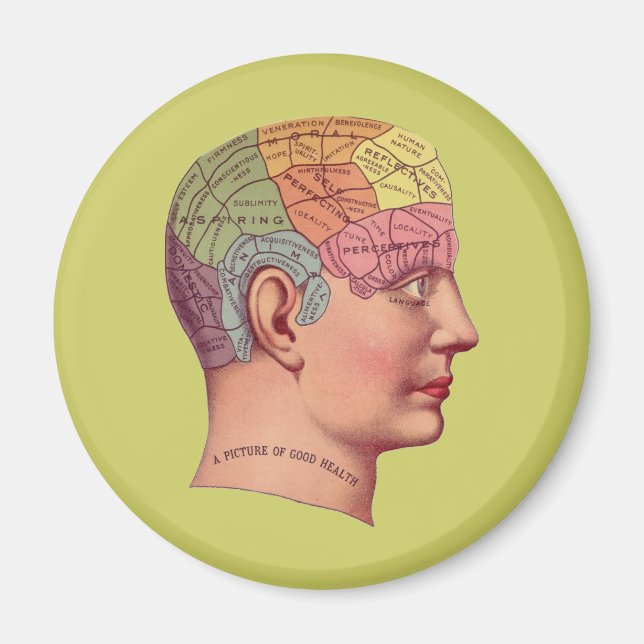 antique Mind Brain Map Phrenology head Magnet (Front)