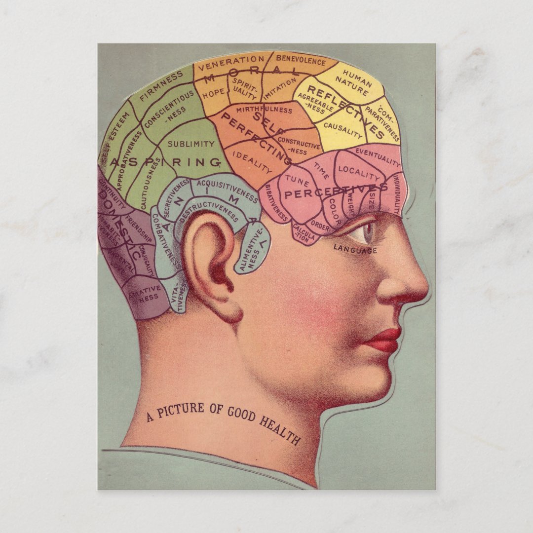 antique Mind Brain Map Phrenology head Postcard | Zazzle