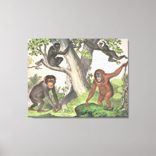 Antique Monkeys in Jungle Print