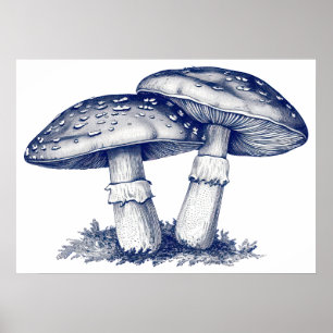  Antique mushroom drawing  Poster