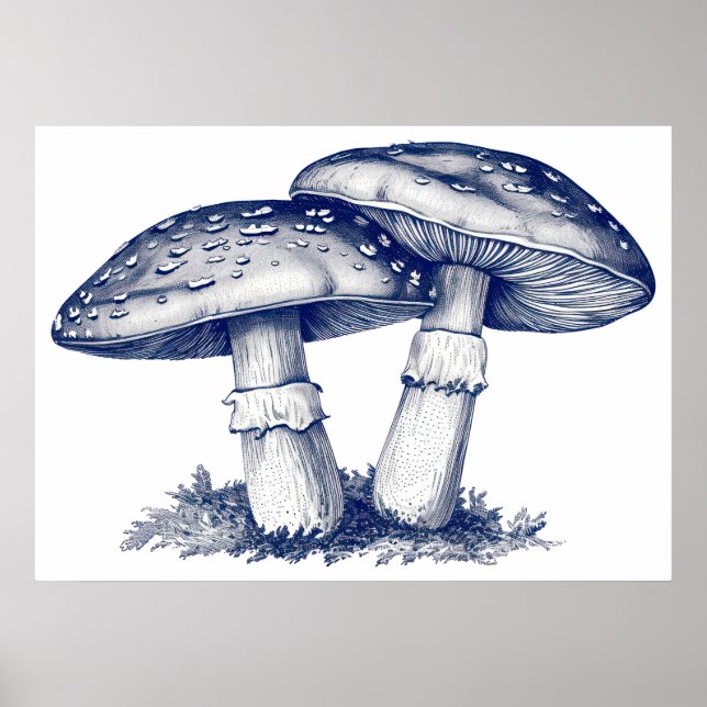  Antique mushroom drawing  Poster (Front)