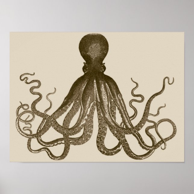 Antique Octopus Poster (Front)