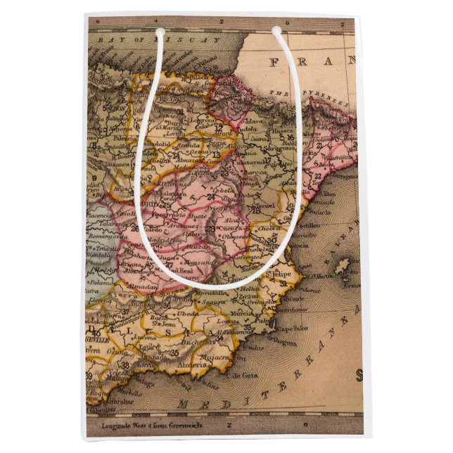 Antique Old Map Inspired (5) Medium Gift Bag (Front)