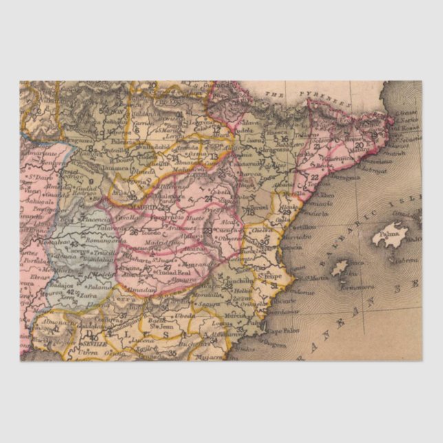 Antique Old Map Inspired (5) Tissue Paper (Front)