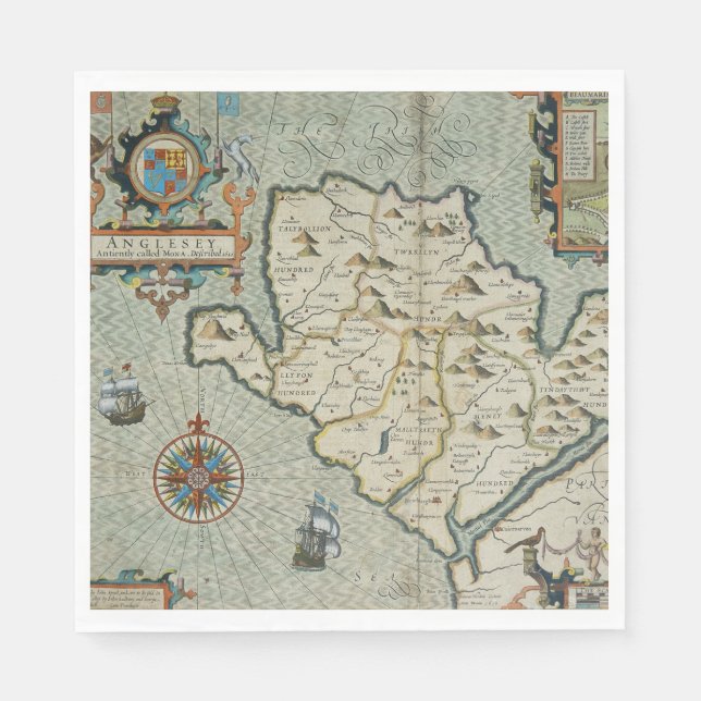 Antique Old Map Inspired (7) Napkin (Front)