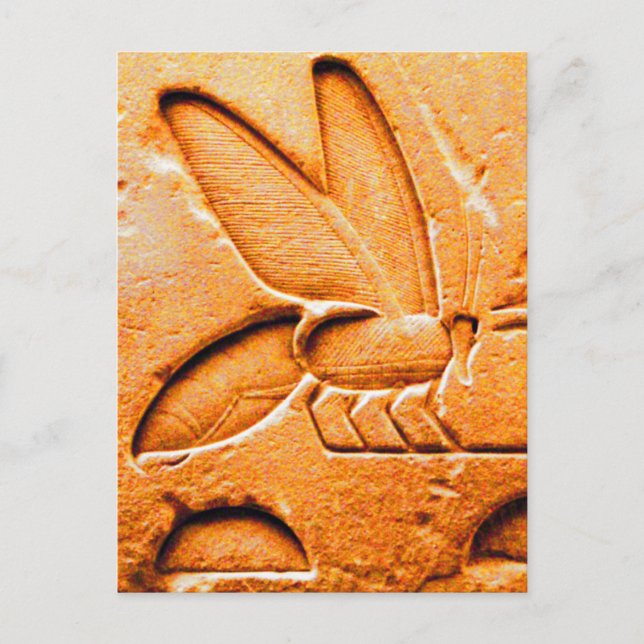 ANTIQUE ORANGE YELLOW EGYPTIAN HONEY BEE BEEKEEPER POSTCARD (Front)