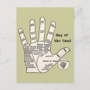 Antique Palm Reader Hand Diagram: Palmistry Postcard