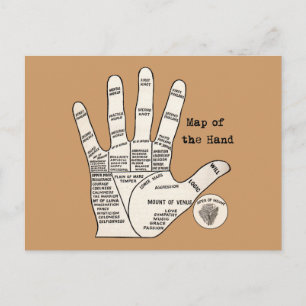 Antique Palm Reader Hand Diagram: Palmistry Postcard
