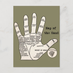 Antique Palm Reader Hand Diagram: Palmistry Postcard