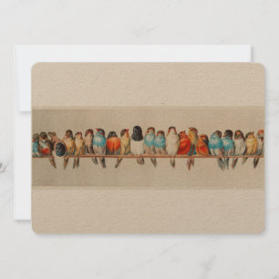 Antique Perch of Birds Hector Giacomelli Invitation