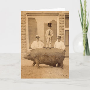 Antique Photo Humourous Birthday Greeting with Pig Card