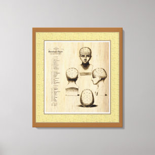 Antique Phrenology Fine Art Canvas Print