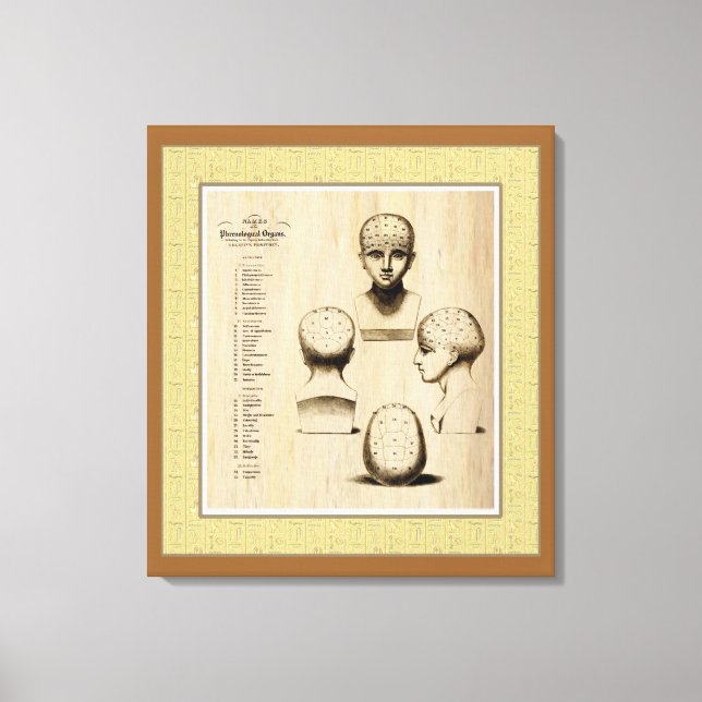 Antique Phrenology Fine Art Canvas Print (Front)