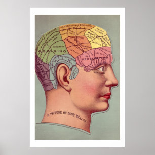 Antique Phrenology head Poster