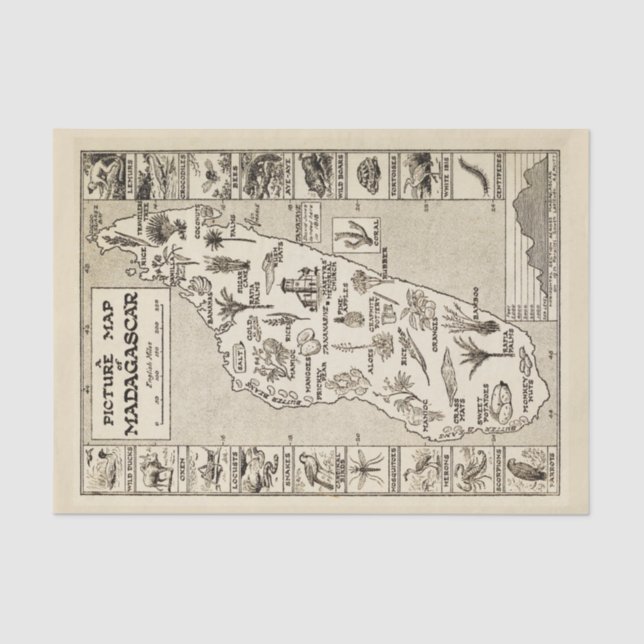Antique Picture Map of Madagascar Tropical Island Tissue Paper (Front)
