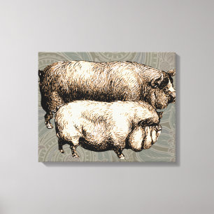 Antique Pigs Vintage piggy drawing Canvas Print