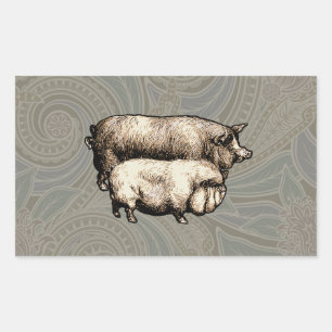 Antique Pigs Vintage piggy drawing Rectangular Sticker