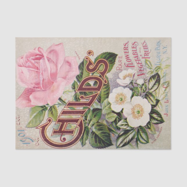 Antique Pink and White Roses Catalogue Tissue Pape Tissue Paper (Front)