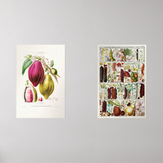 antique plant unique