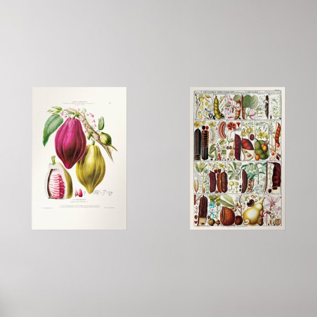 antique plant unique (Front)