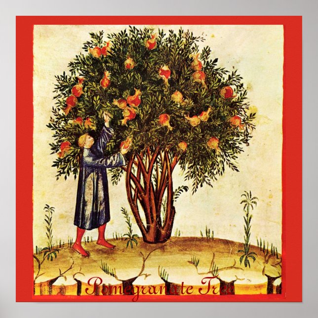 ANTIQUE POMEGRANATE TREE POSTER (Front)
