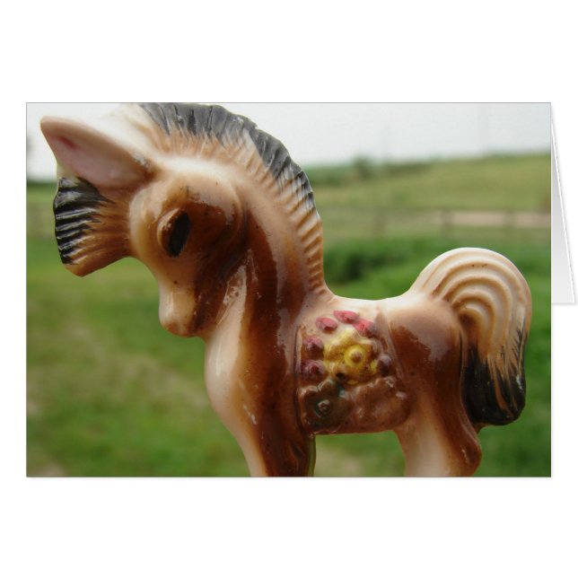 Antique Pony (Front Horizontal)