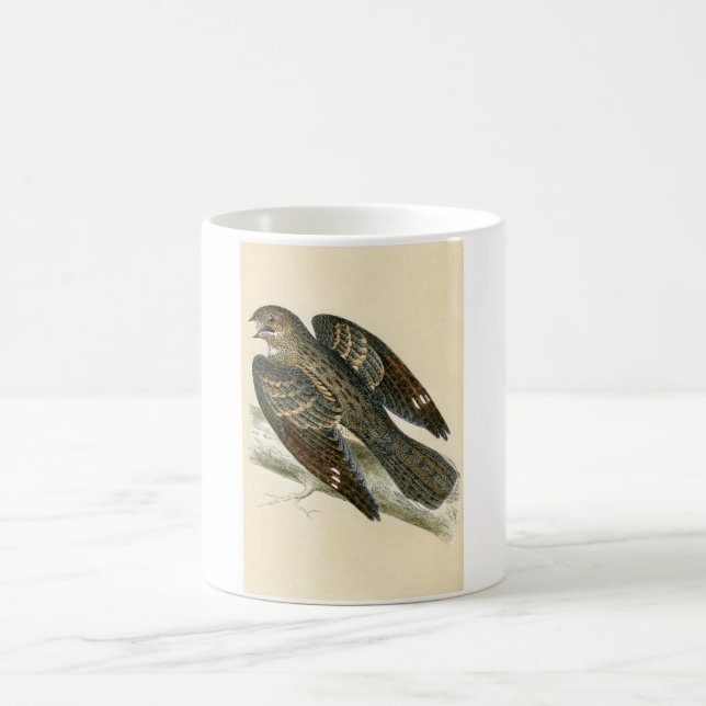 Antique Print of a Nightjar Coffee Mug (Center)