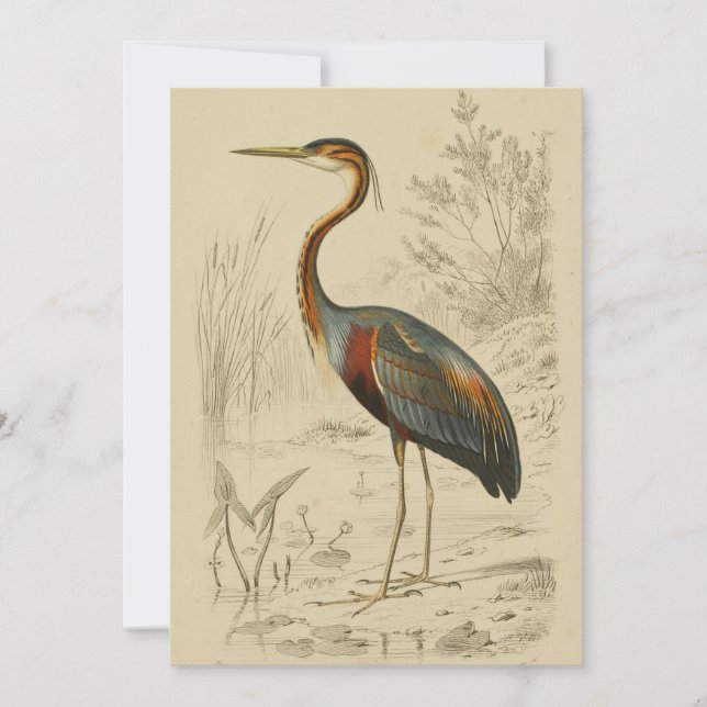 Antique Purple Heron Travies Edouard Print Holiday Card (Front)