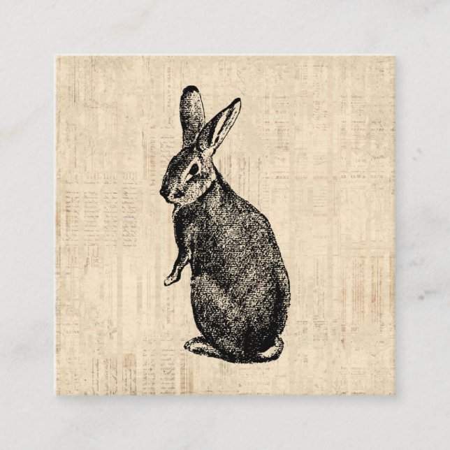 Antique Rabbit Illustration Bunny Art with Script Enclosure Card (Front)