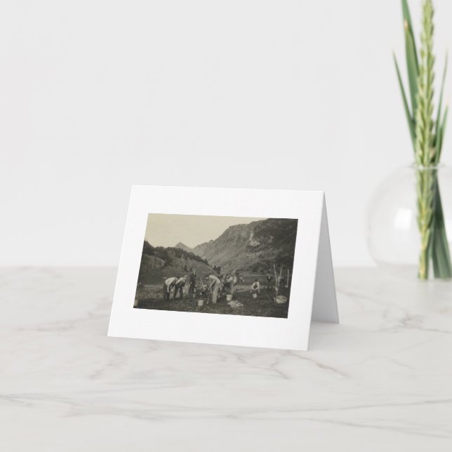 Antique Real Photo Norwegian Farmers Note Card (Front)