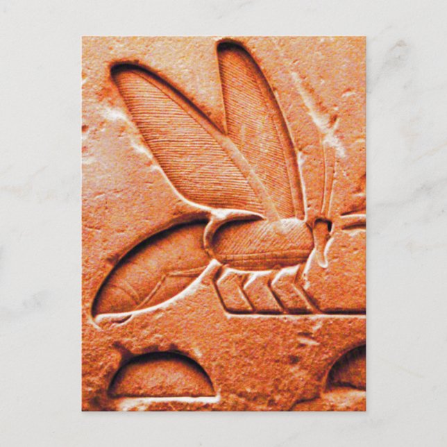 ANTIQUE RED EGYPTIAN HONEY BEE BEEKEEPER POSTCARD (Front)