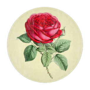 Antique Red Rose  Cutting Board