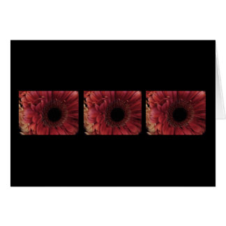 Antique Red (trio)