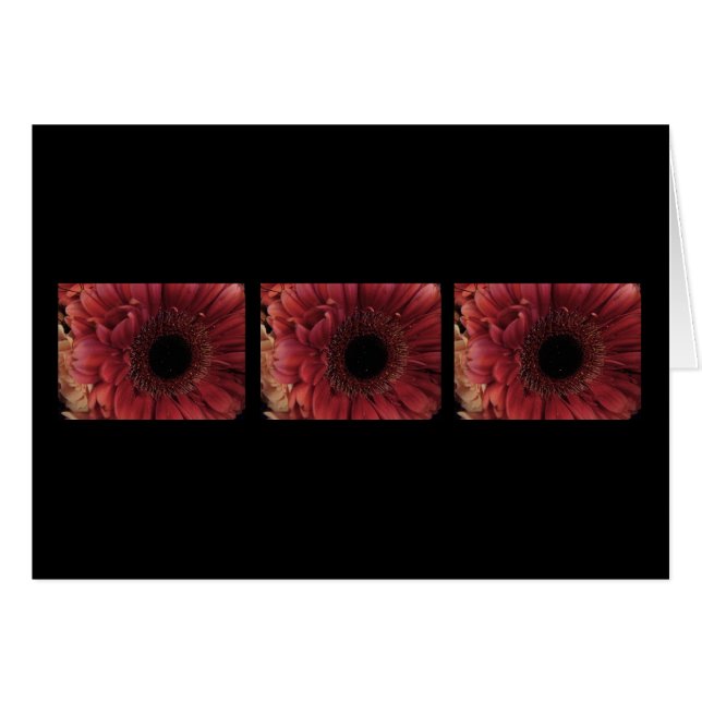 Antique Red (trio) (Front Horizontal)