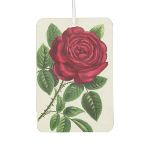 Antique Rose Lithograph, François-Frédéric Grobon Car Air Freshener